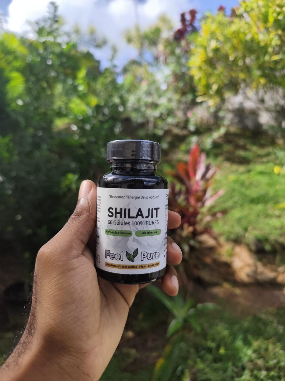 Gélules de Shilajit Pur - Lot de 60 gélules