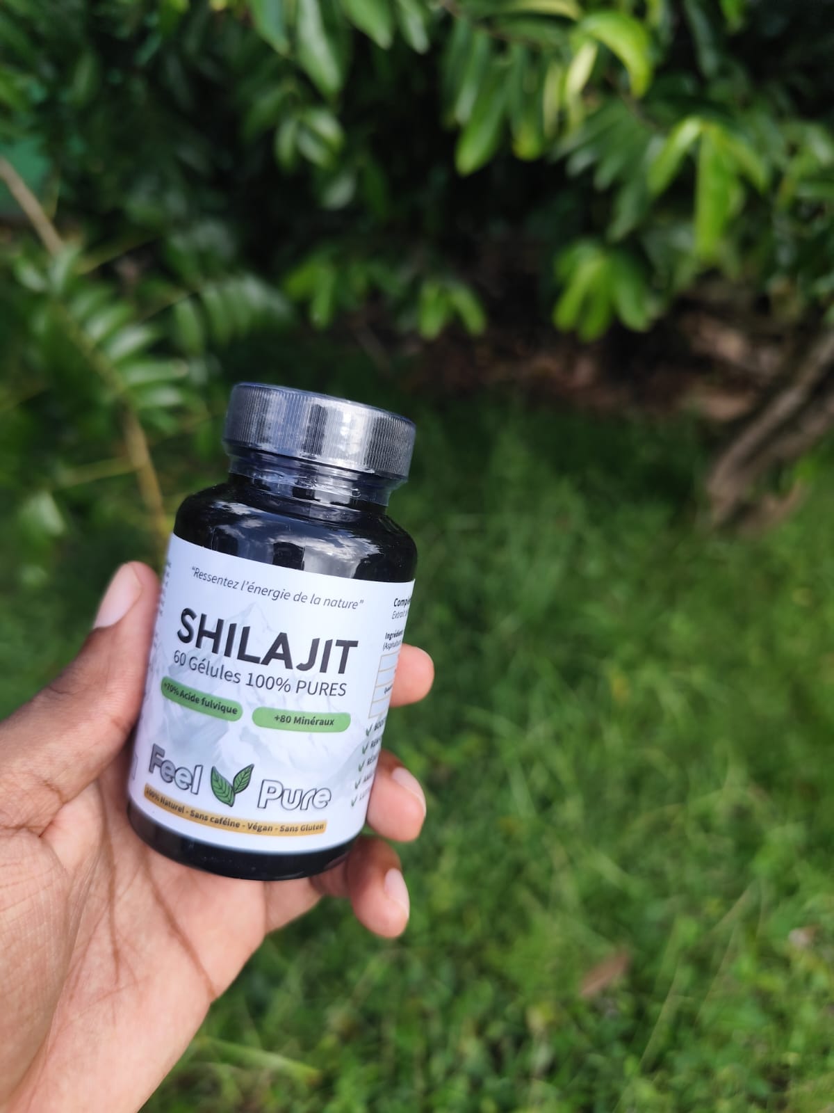 Gélules de Shilajit Pur - Lot de 60 gélules