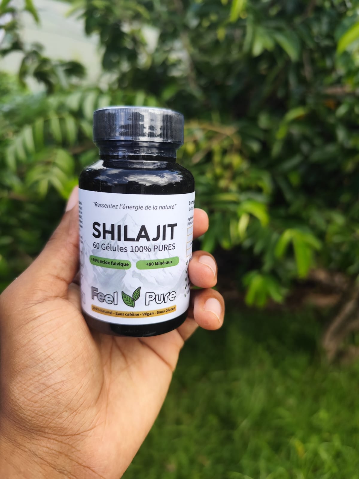 Gélules de Shilajit Pur - Lot de 60 gélules
