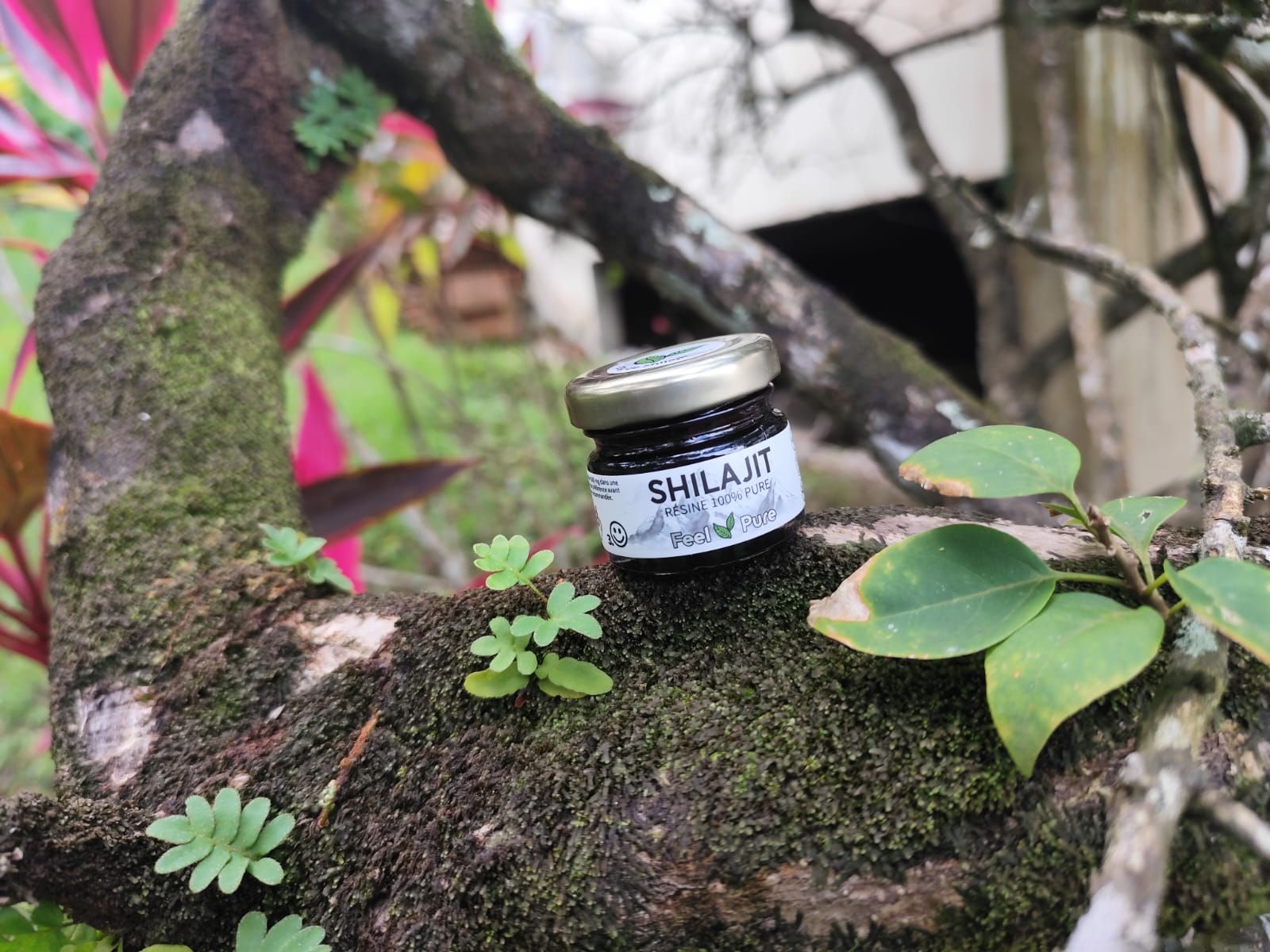 Résine de Shilajit - 30 g