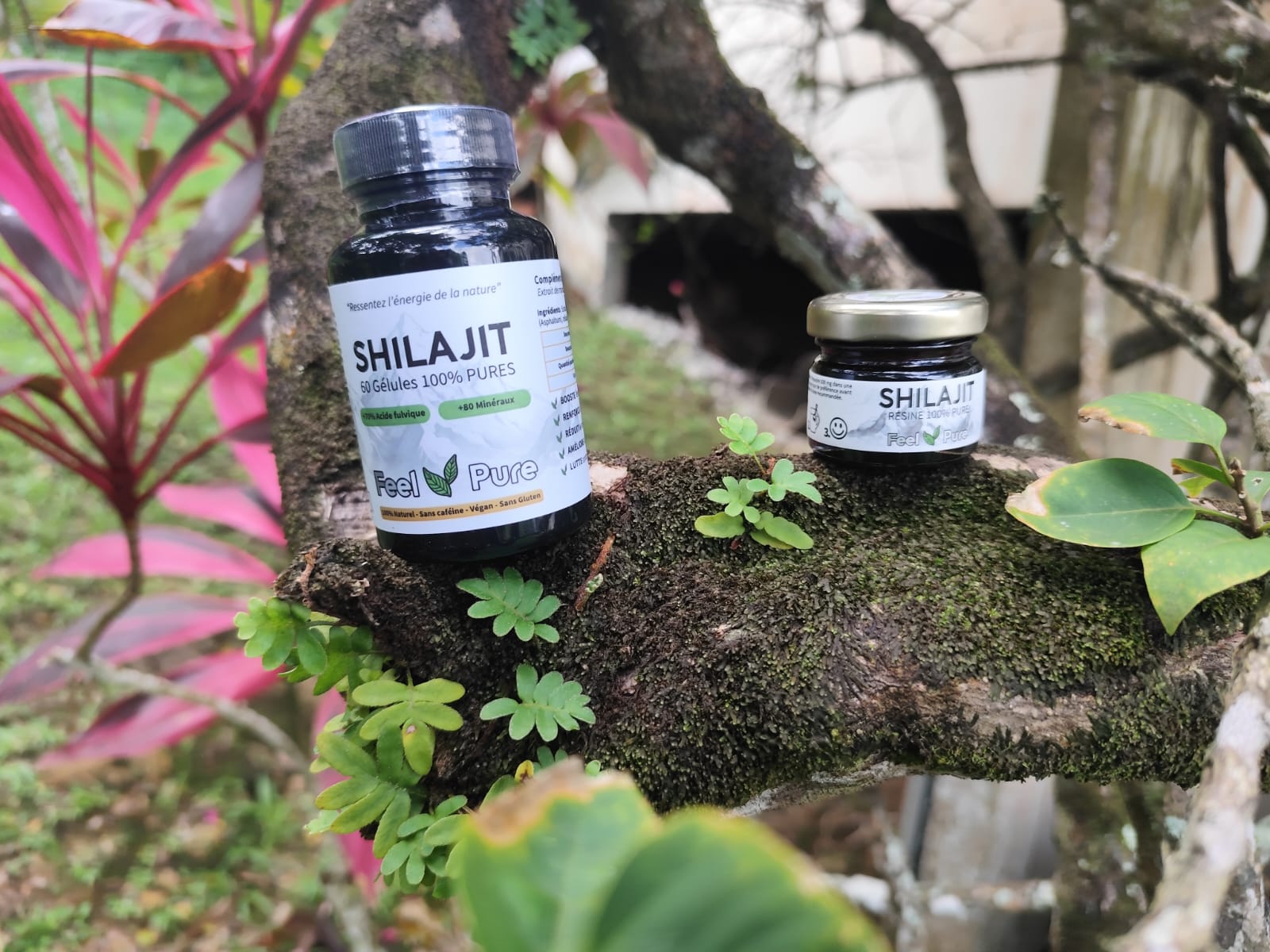 Pack Mixte Focus & Energie